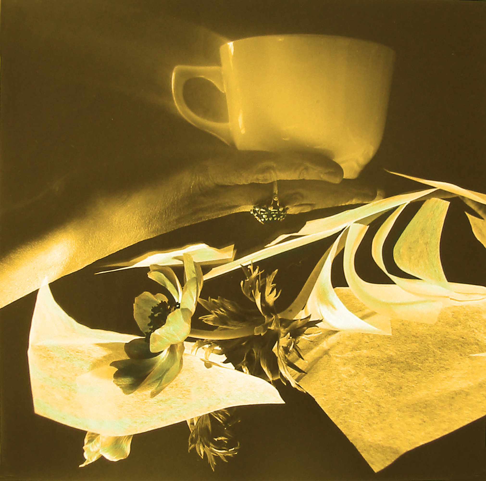 10-Cup-Flowers-web.jpg