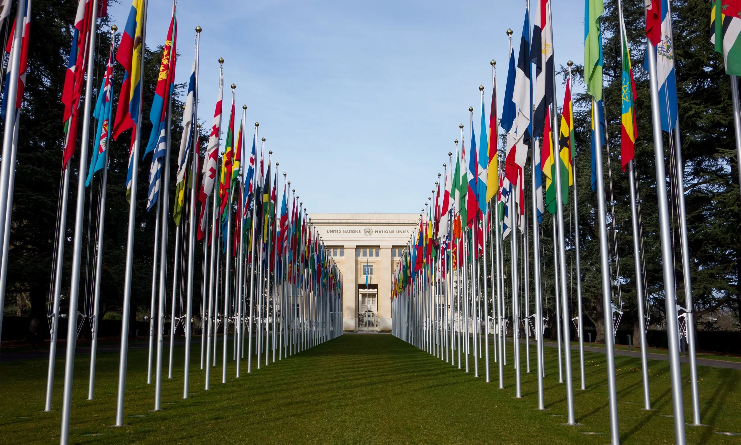 United Nations Flag History