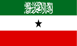  Somaliland PILPG advised the Somaliland government on a variety of legal issues pertaining to constitutional reform and legislative enactments. PILPG established a program office in Hargeisa to support its work in Somaliland.