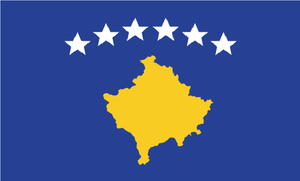  Kosovo PILPG served as legal counsel to the Kosovar delegation during the Rambouillet negotiations. PILPG also advised the Kosovar government during the Vienna final status negotiations and assisted in the drafting of the 2007 constitution. PILPG worked with civil society organizations in Kosovo to increase access to, demand for, and respect for justice. PILPG established a program office in Prishtina to assist with preparations for final status negotiations, and subsequently with strategic litigation.