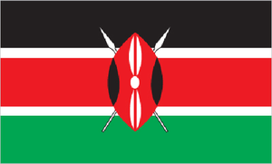  Kenya Piracy Court PILPG provided legal assistance and research assistance to the UN-supported Kenya Piracy Court.