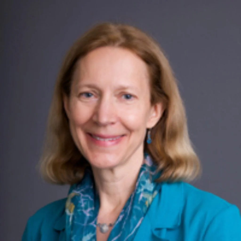 Jane Stromseth Washington, D.C LinkedIn
