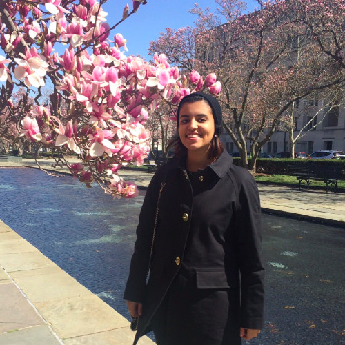 Noura Abahsain Research Associate LinkedIn
