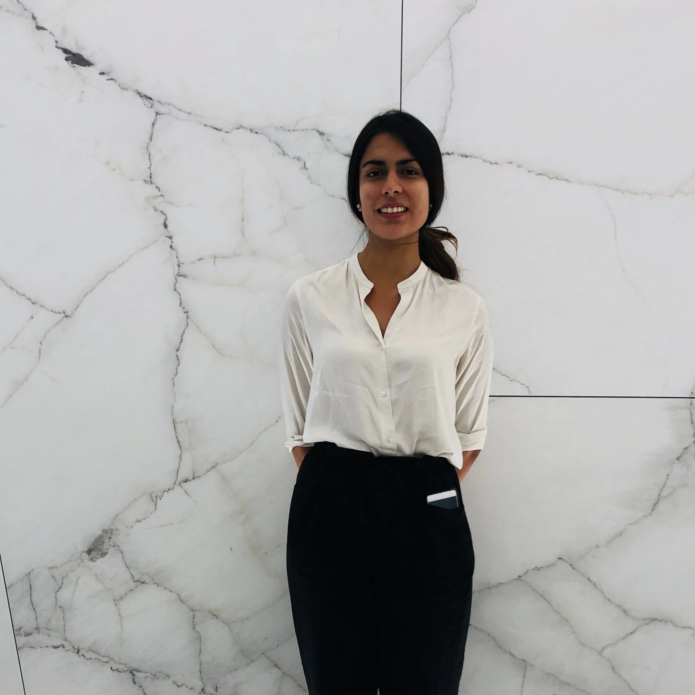 Manek Minhas Tufts University LinkedIn