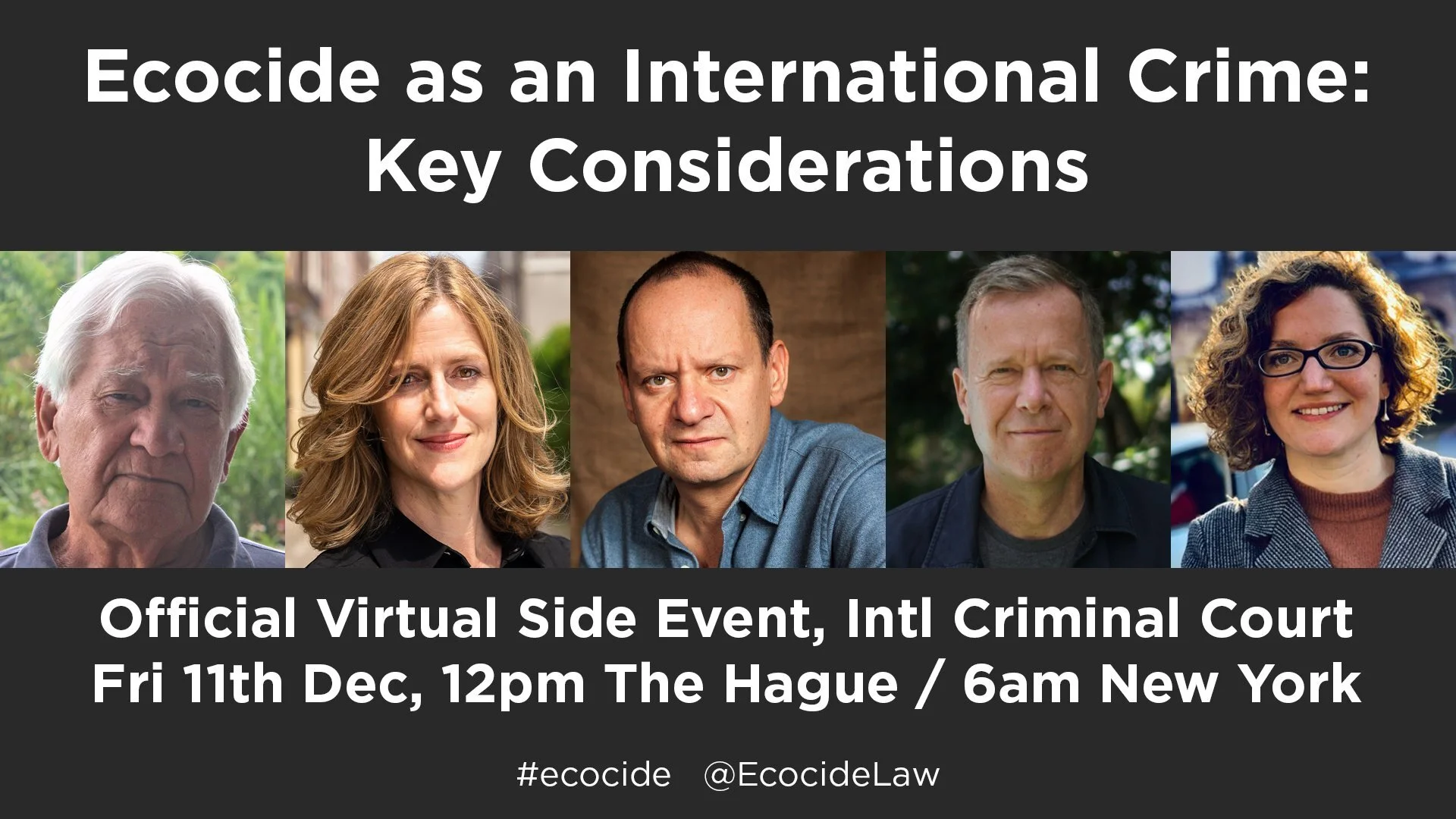 ASP19 Side Event: Ecocide as an international crime: key considerations