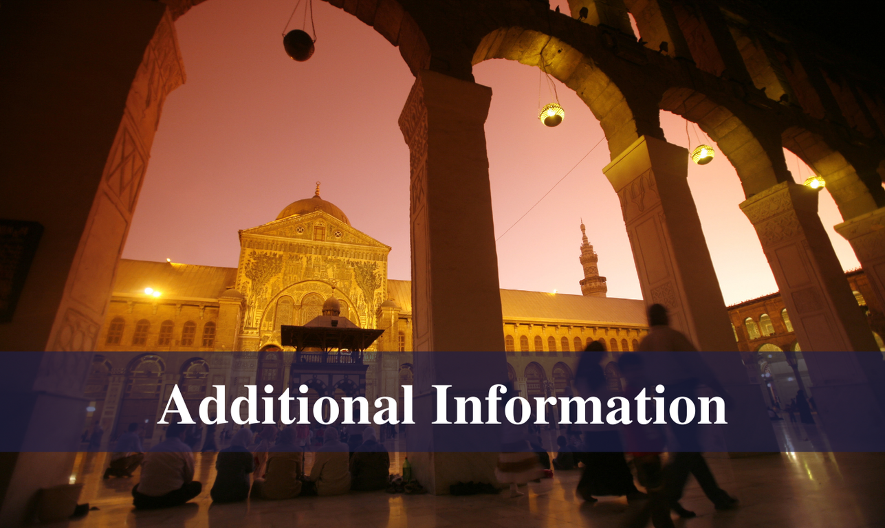 Policy Planning Syria Additional Material — Public International Law ...