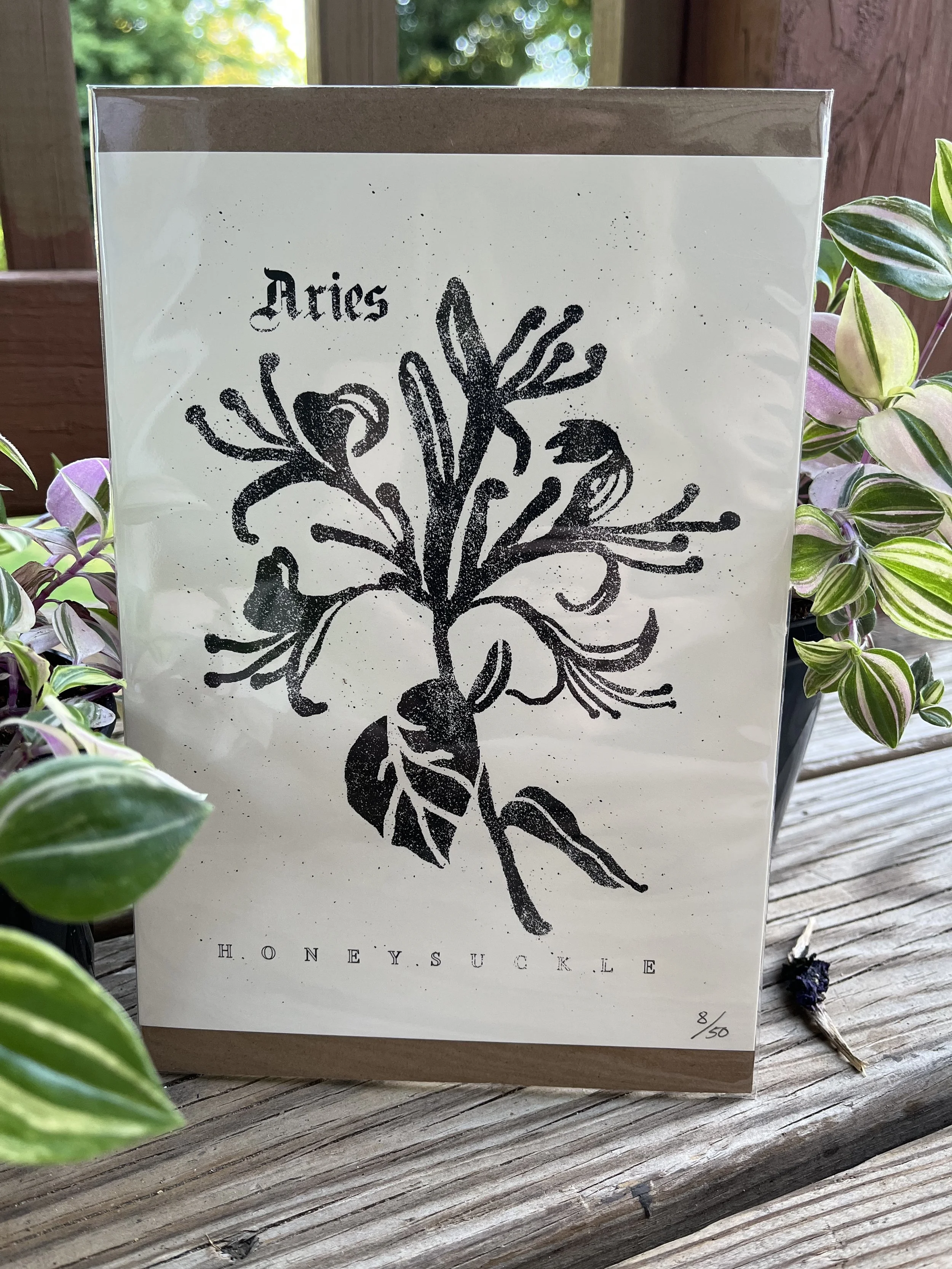 Zodiac Print ~ Aries