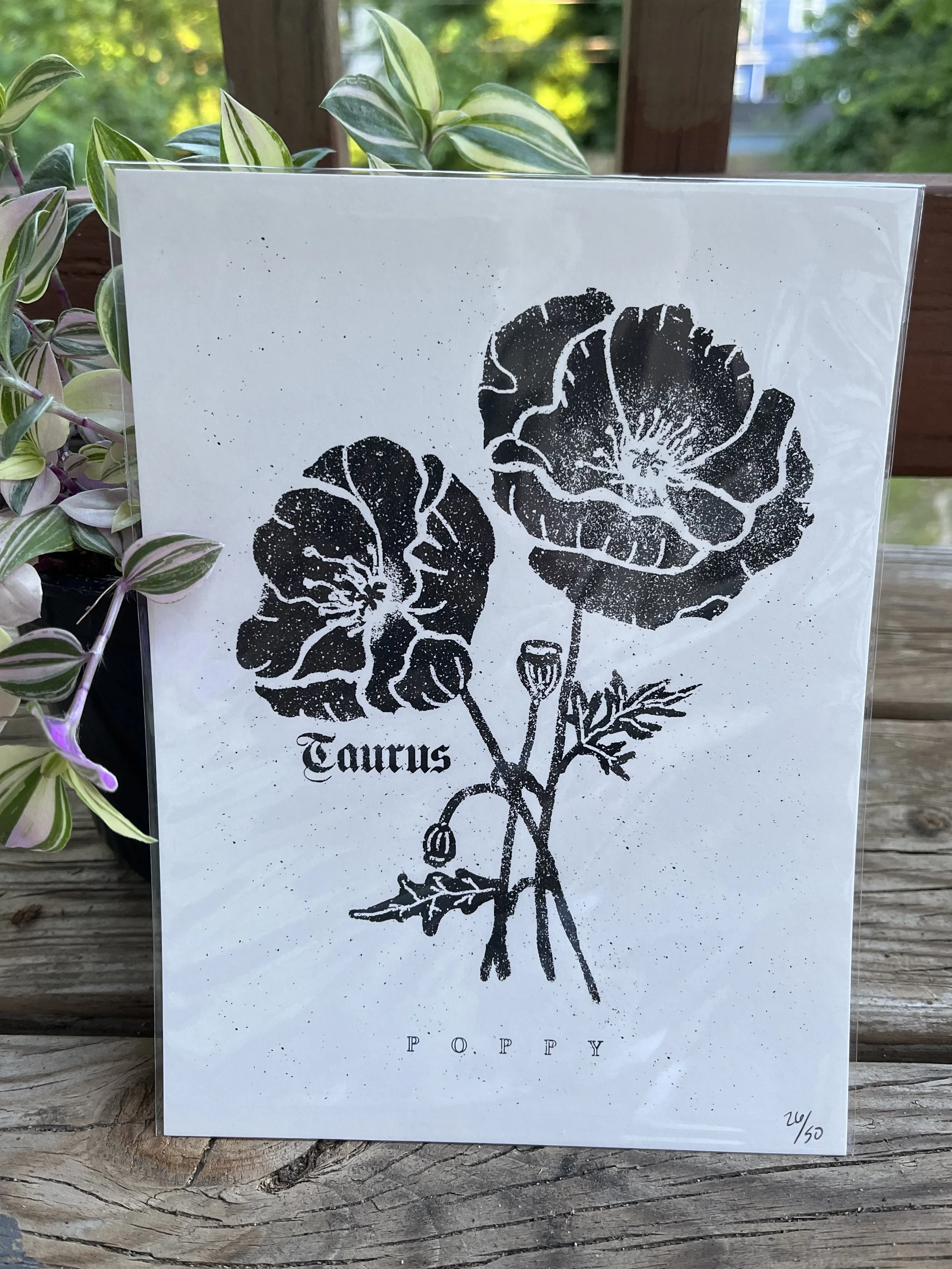 Zodiac Print ~ Taurus