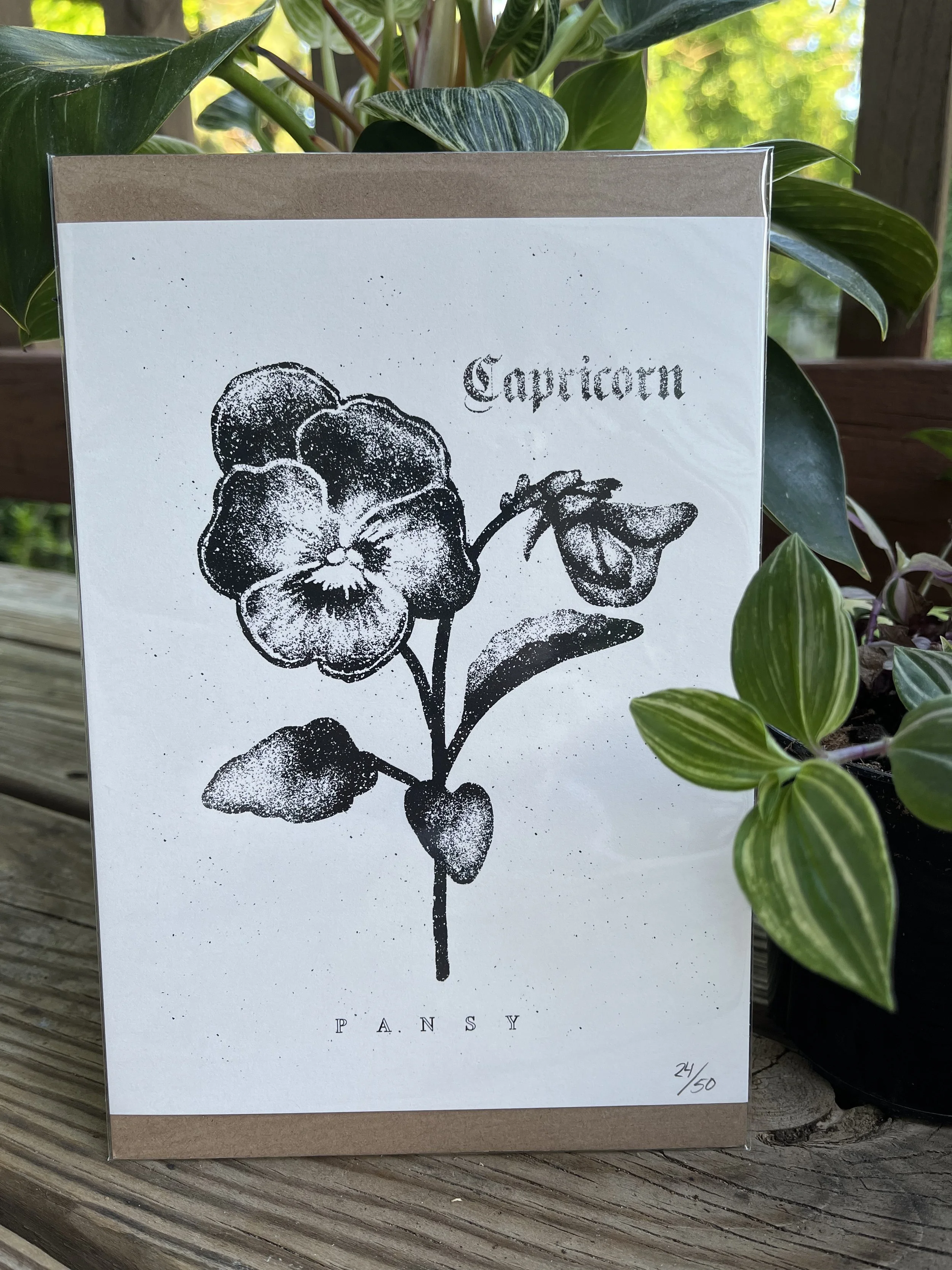 Zodiac Print ~ Capricorn