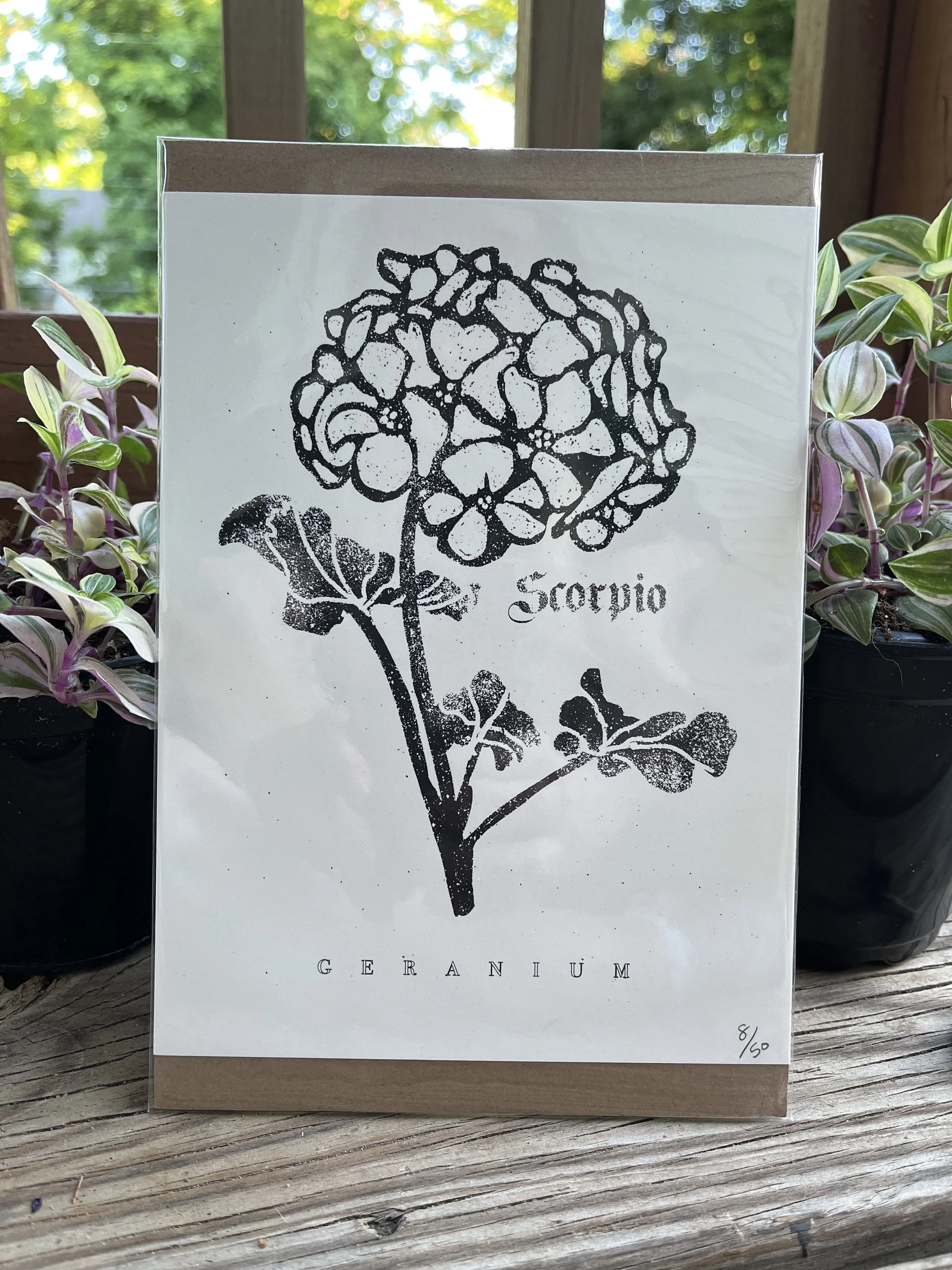 Zodiac Print ~ Scorpio