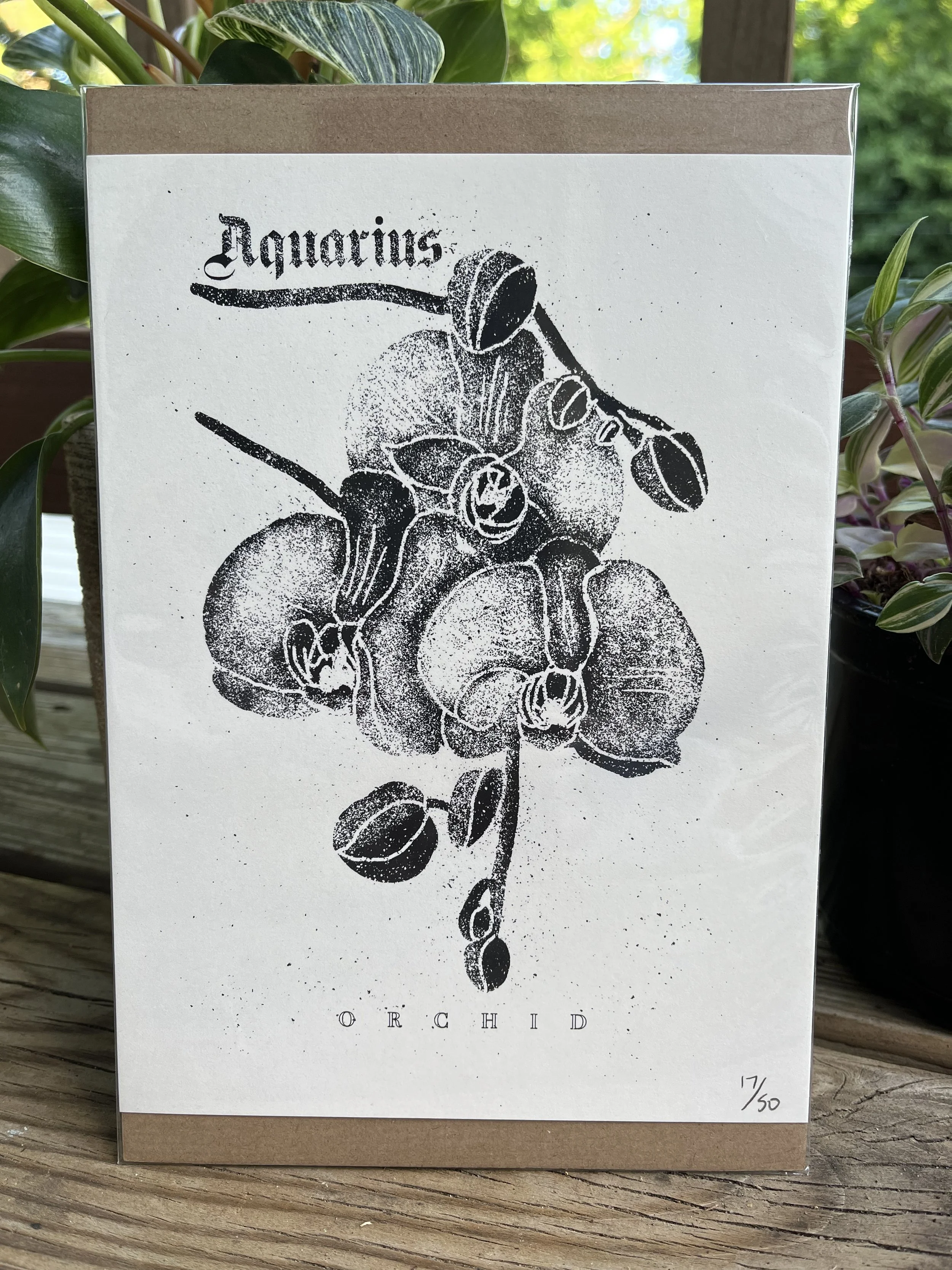 Zodiac Print ~ Aquarius