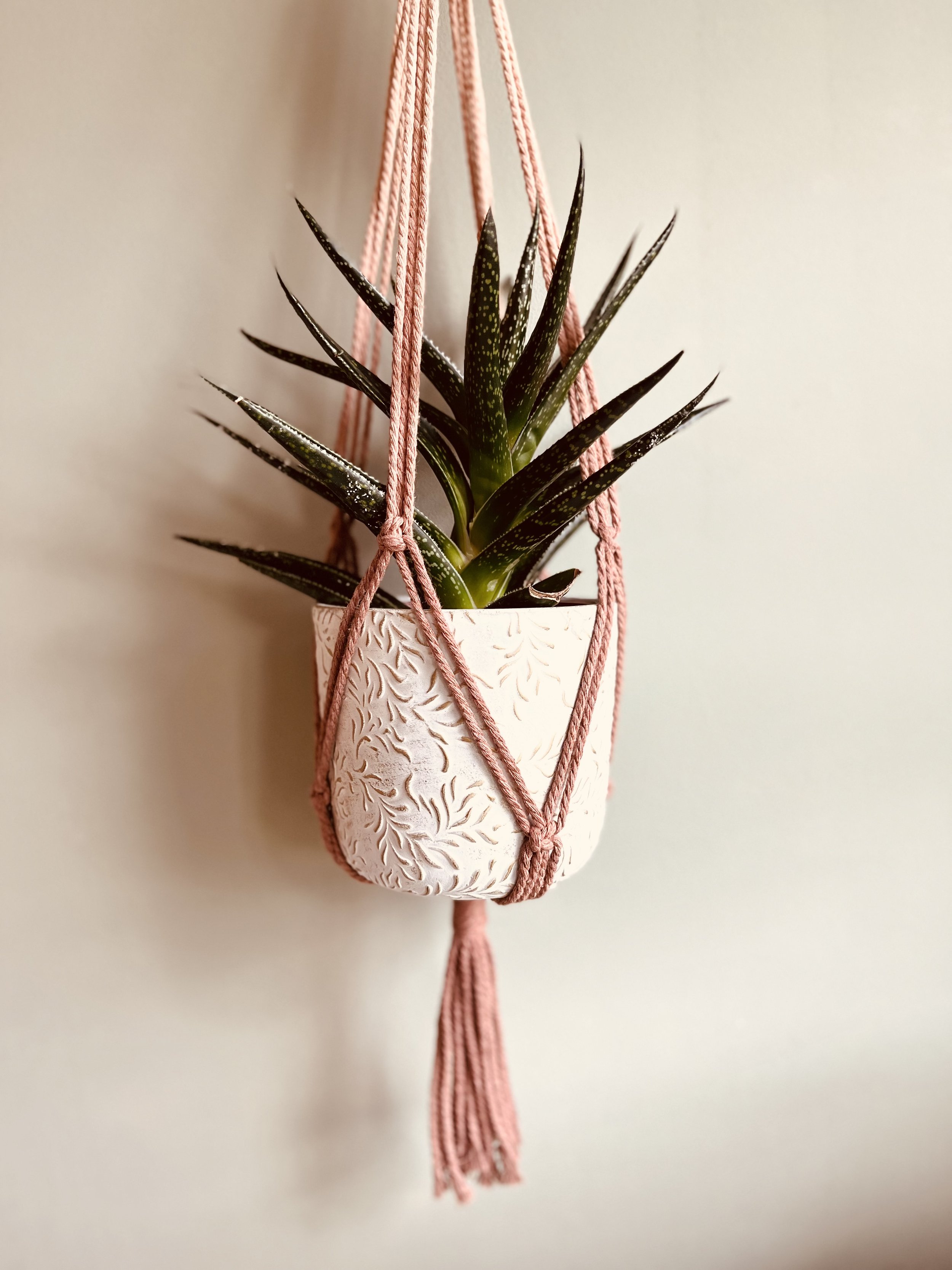 Hand dyed Macrame Plant Hanger