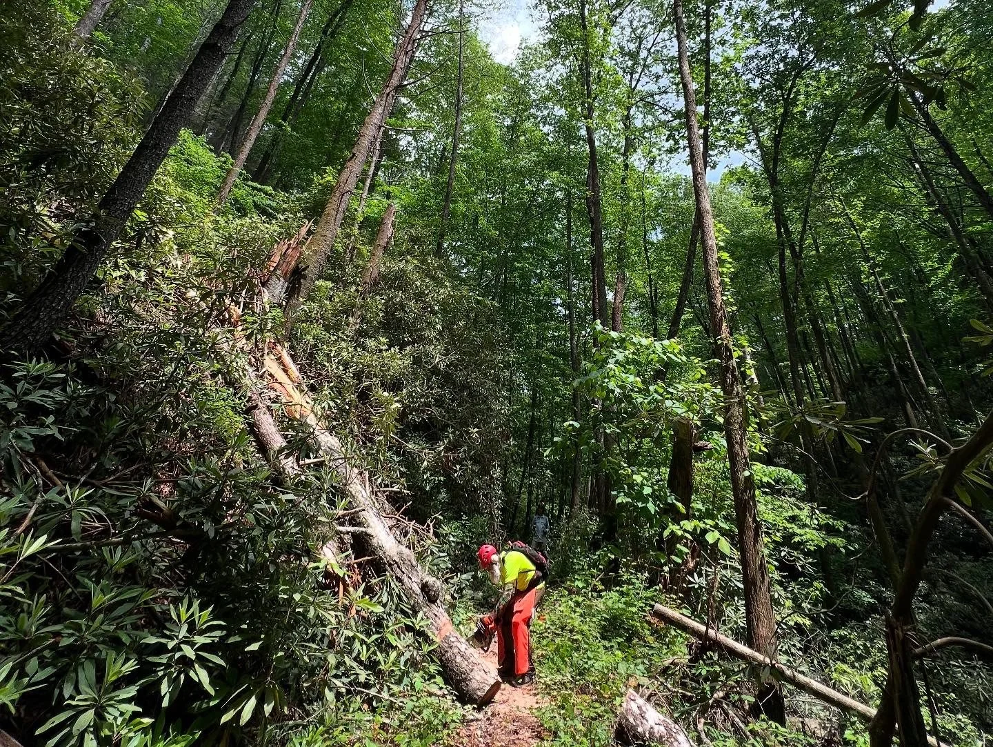 trail work 6.jpg