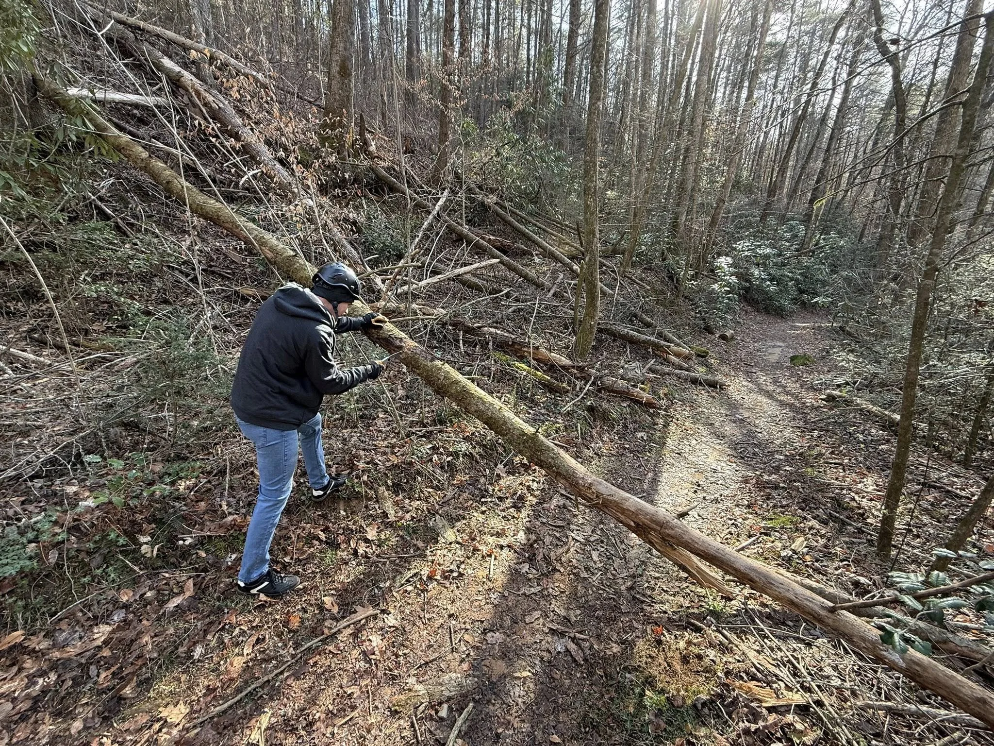 trail work 3.jpg