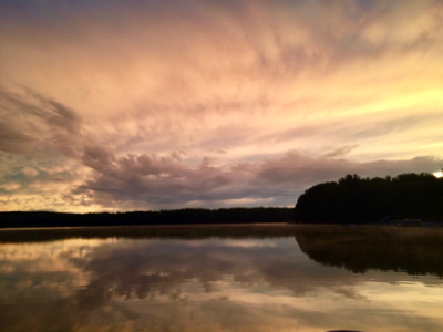 Beside the Water: Week 7