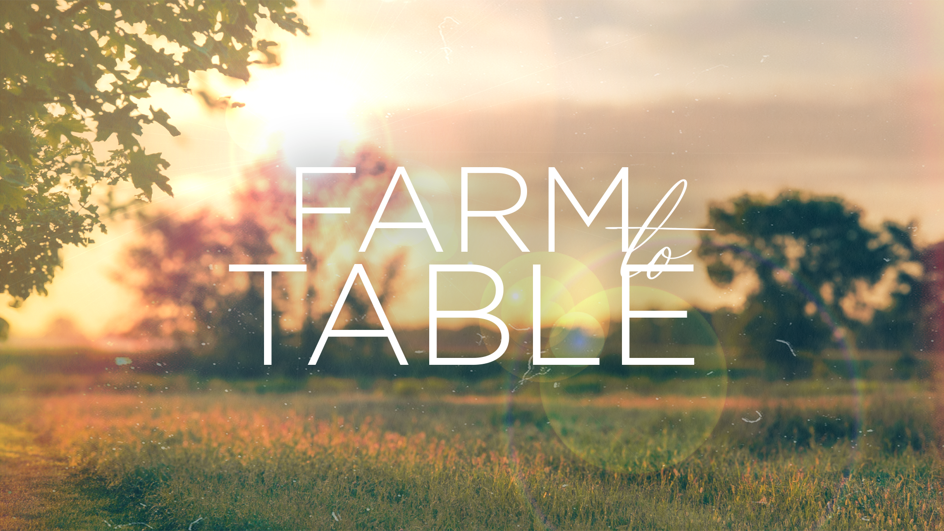 Farm to Table GROUPS EDITION - Week 1