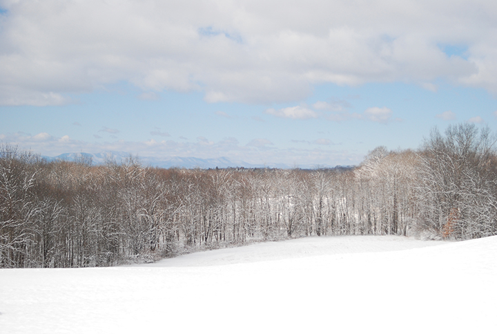 The incredible view from Ledig House, Art Omi