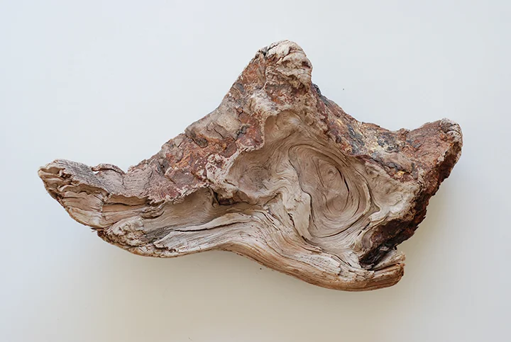 Texture: I was interested in a number of objects, both collected and in situ of textures that undermine the smooth hegemony of contemporary digital architecture, and the discourse of topological surfaces which run counter to the character of cloud formations.