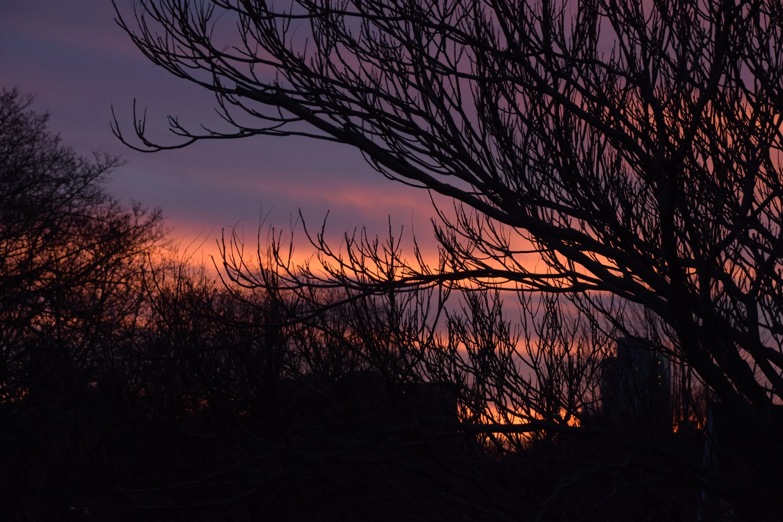  There is nothing like a Canadian sunset    
