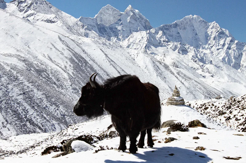 Trek4TEF-Blog-92.jpg
