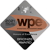 Bronze Award Badge.png