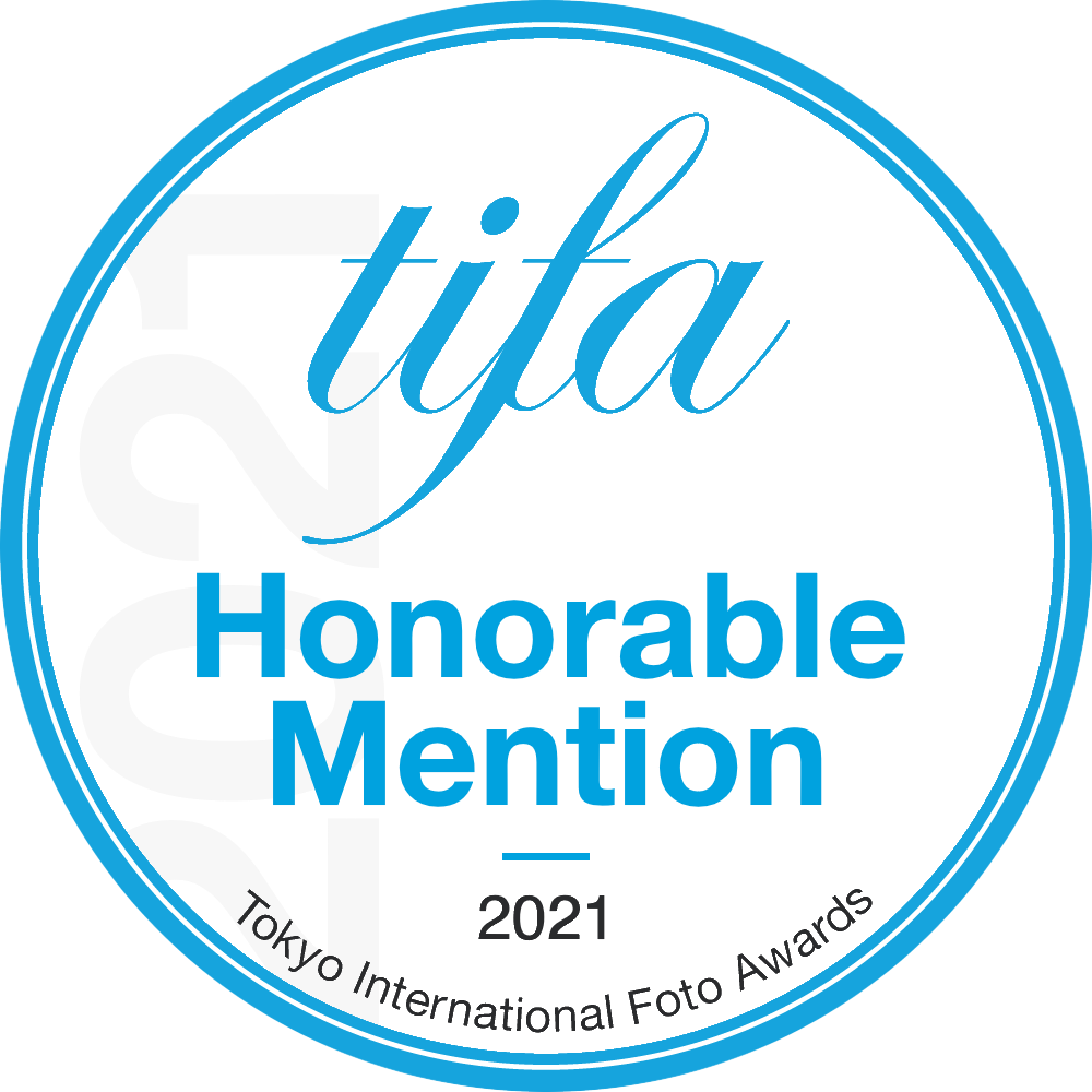 Honorable Mention Badge.png