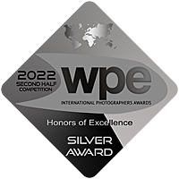 Silver Award Badge.png
