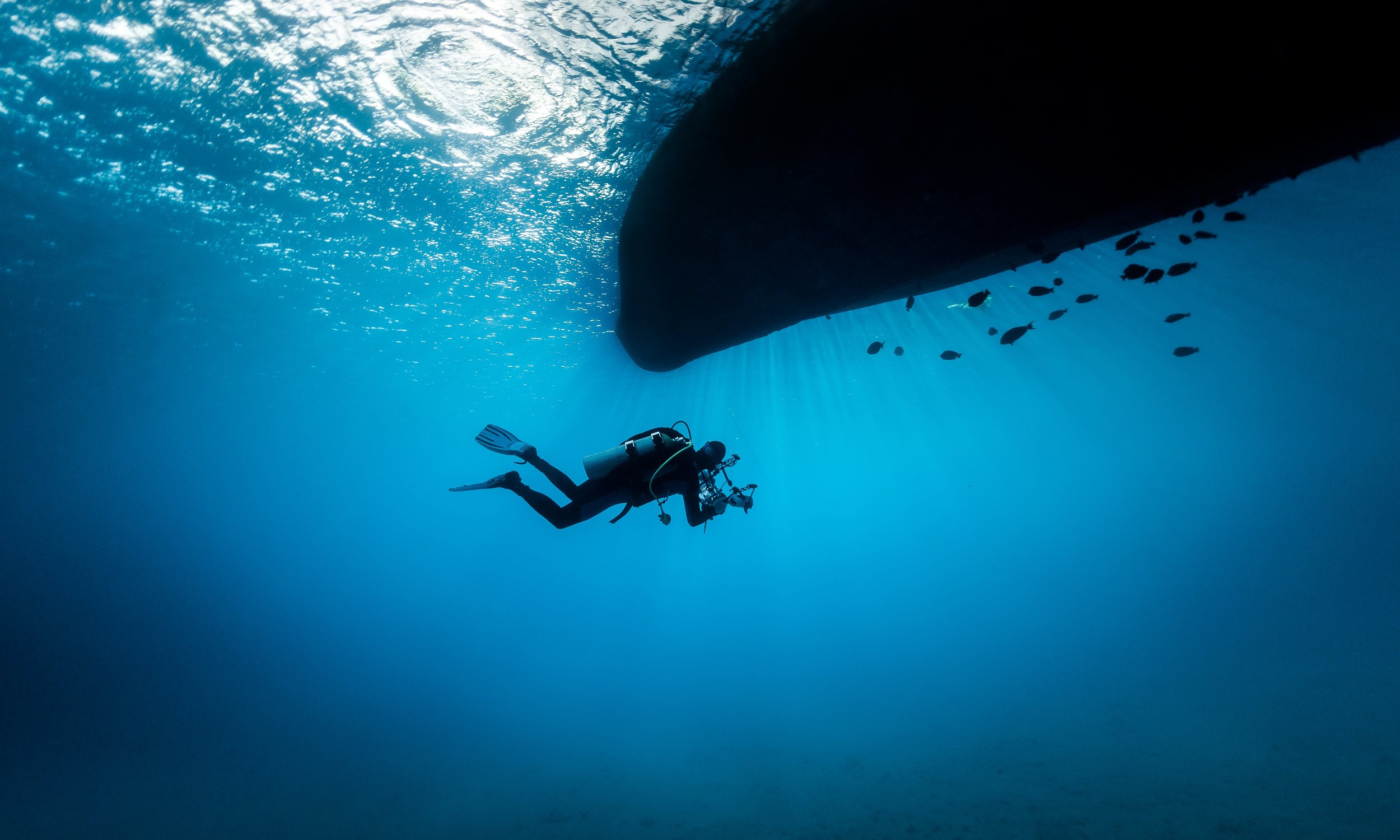 Scuba Diving Roatan .jpg