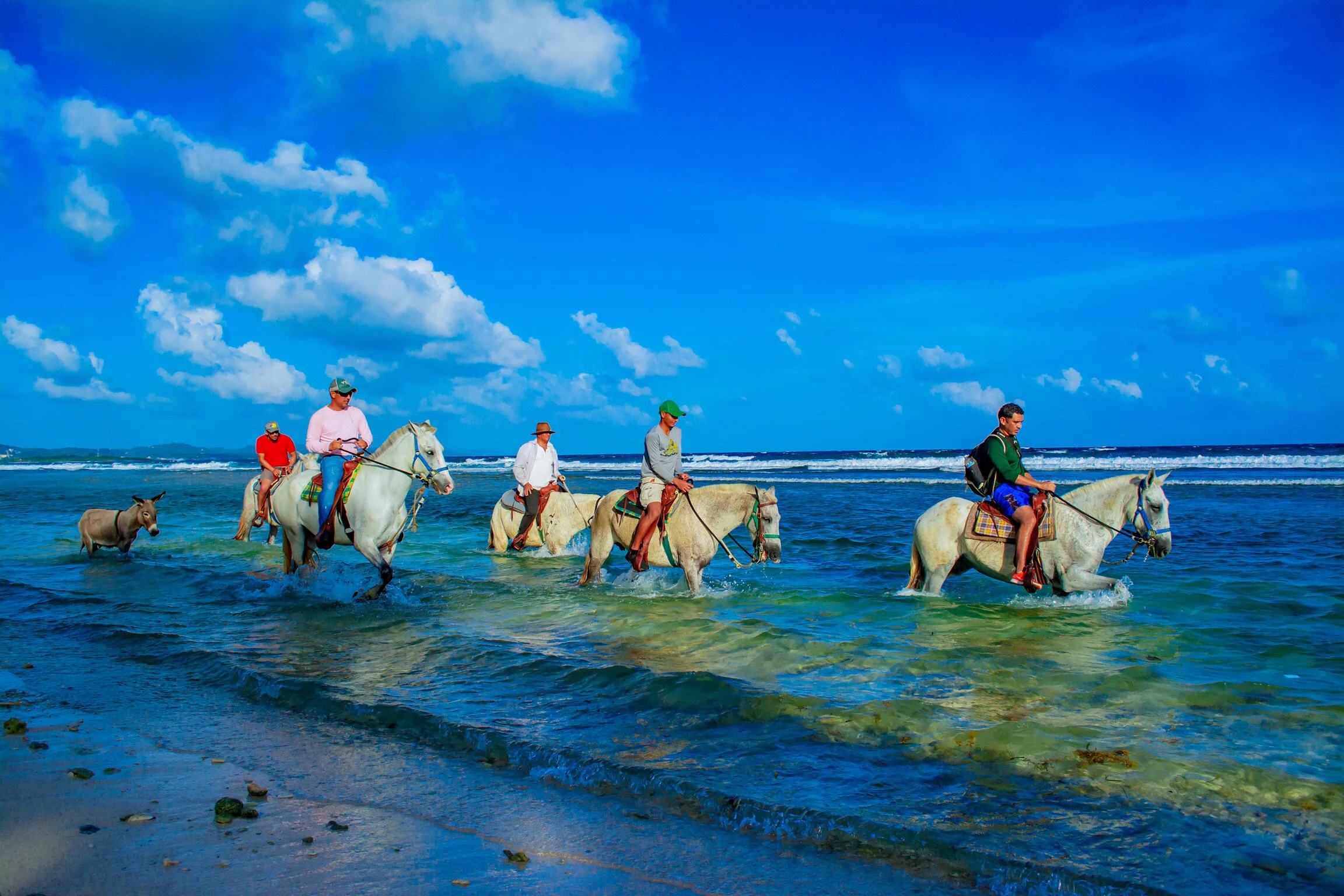 Horseback Riding Roatan.JPG