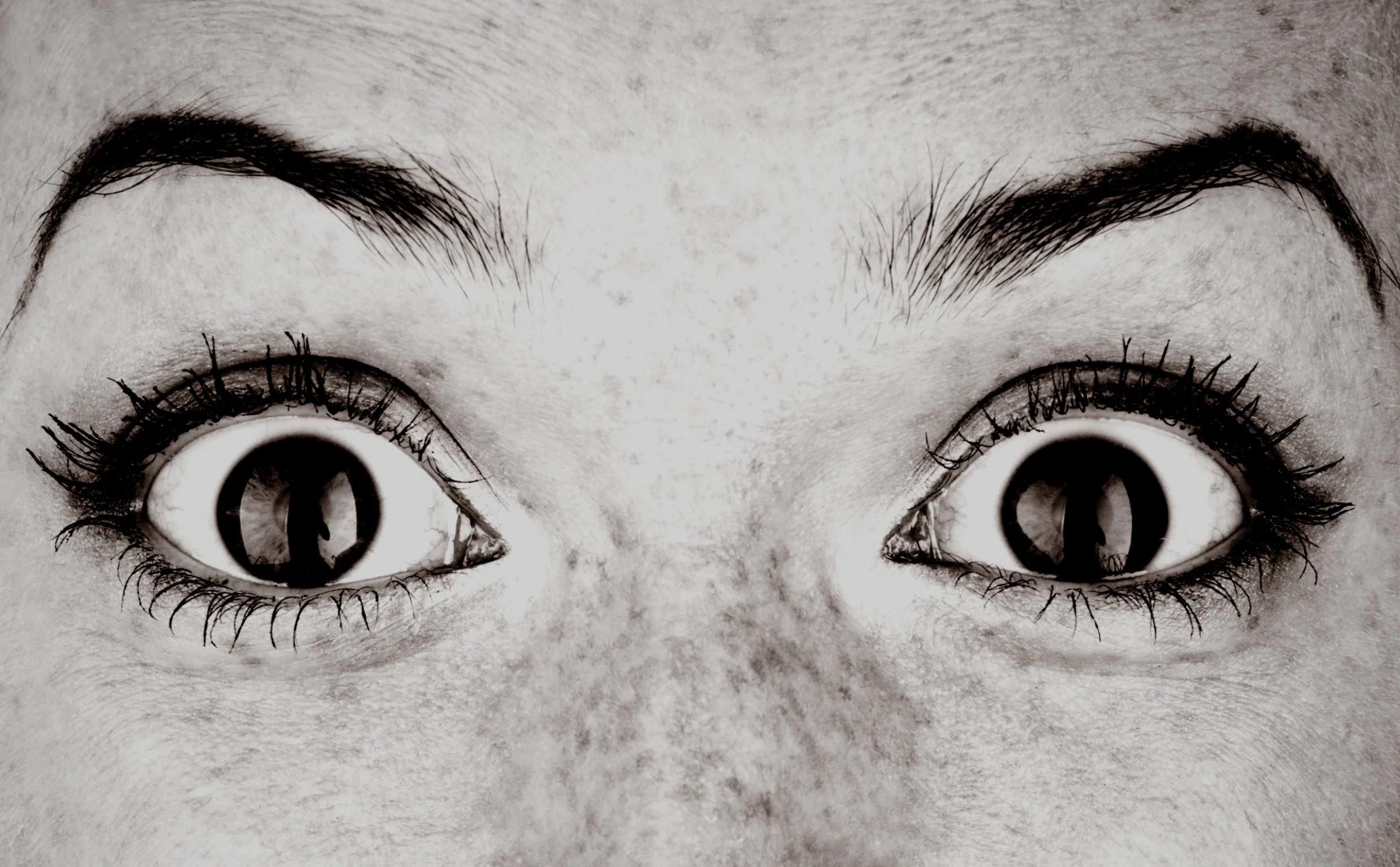 Website index pics15.jpg