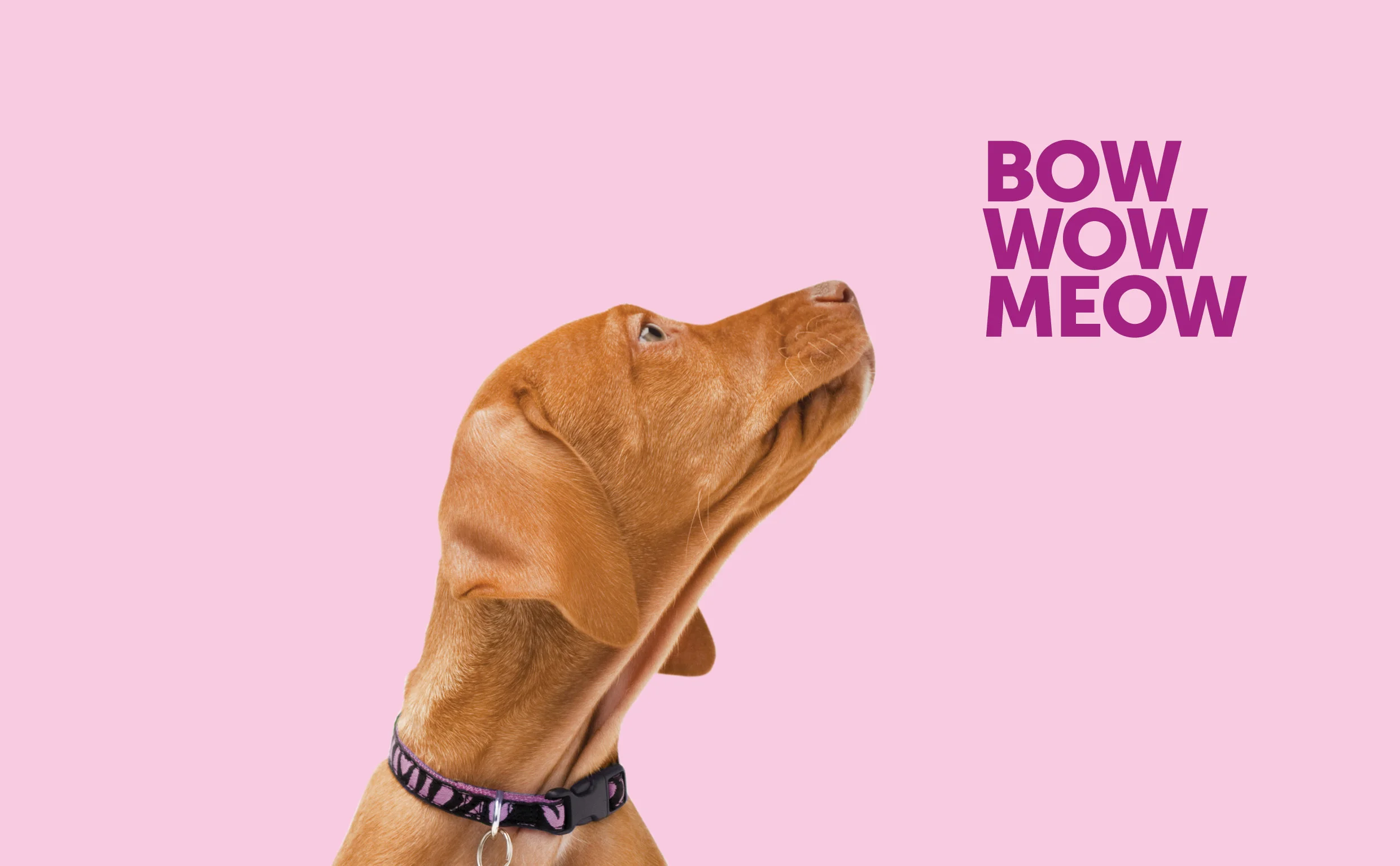 Website index pics21.jpg