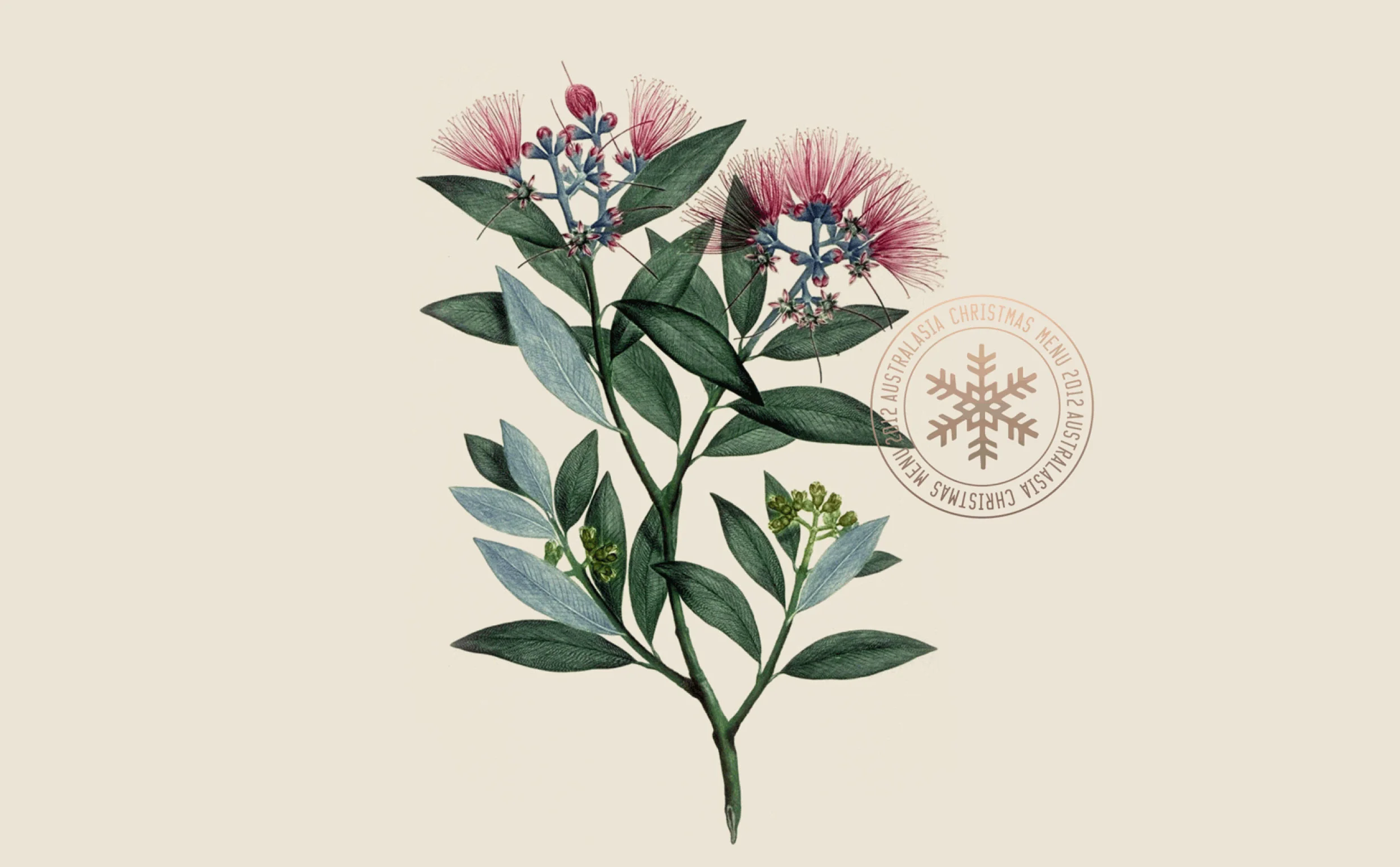 Website index pics22.jpg