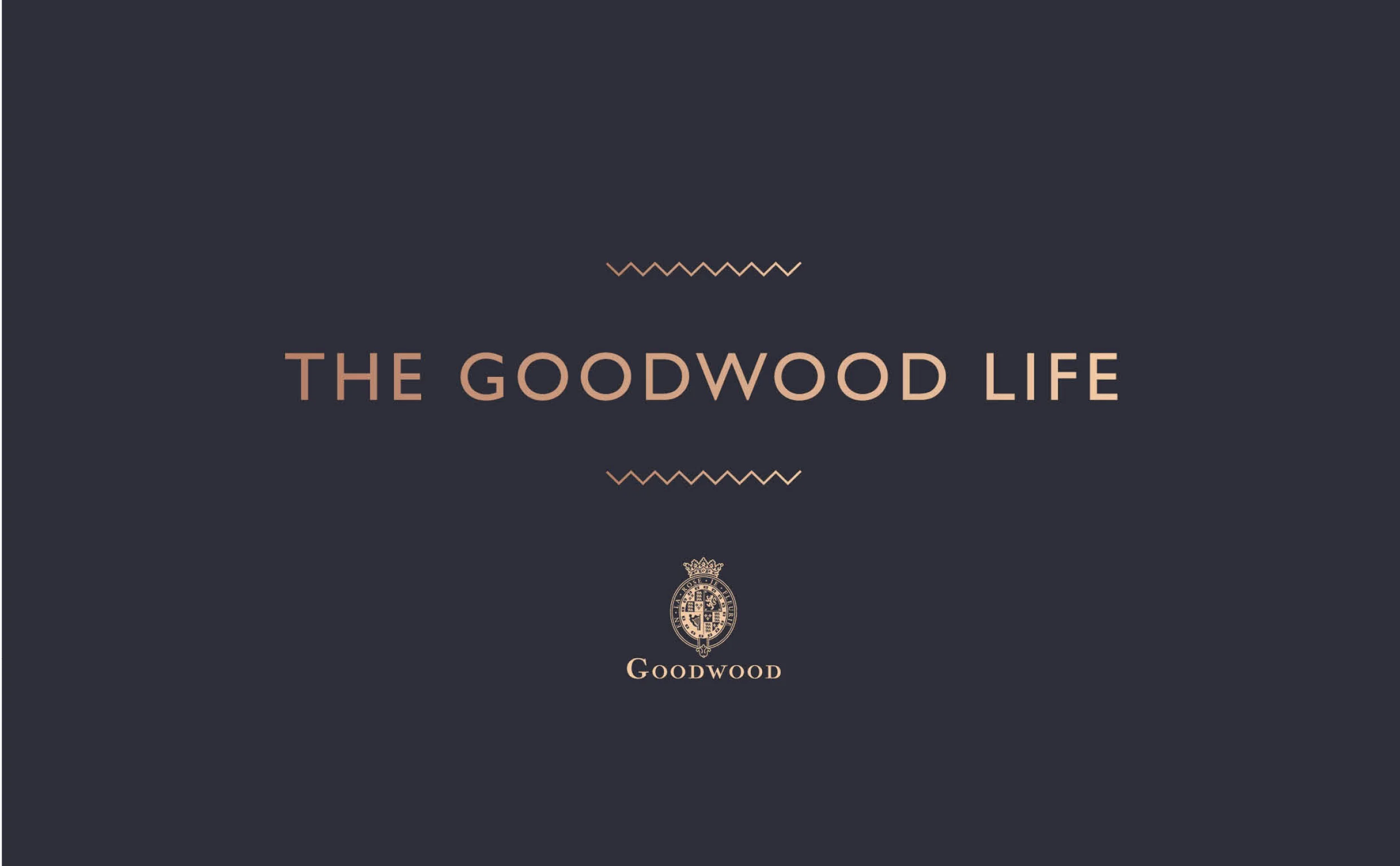 Website index pics25.jpg