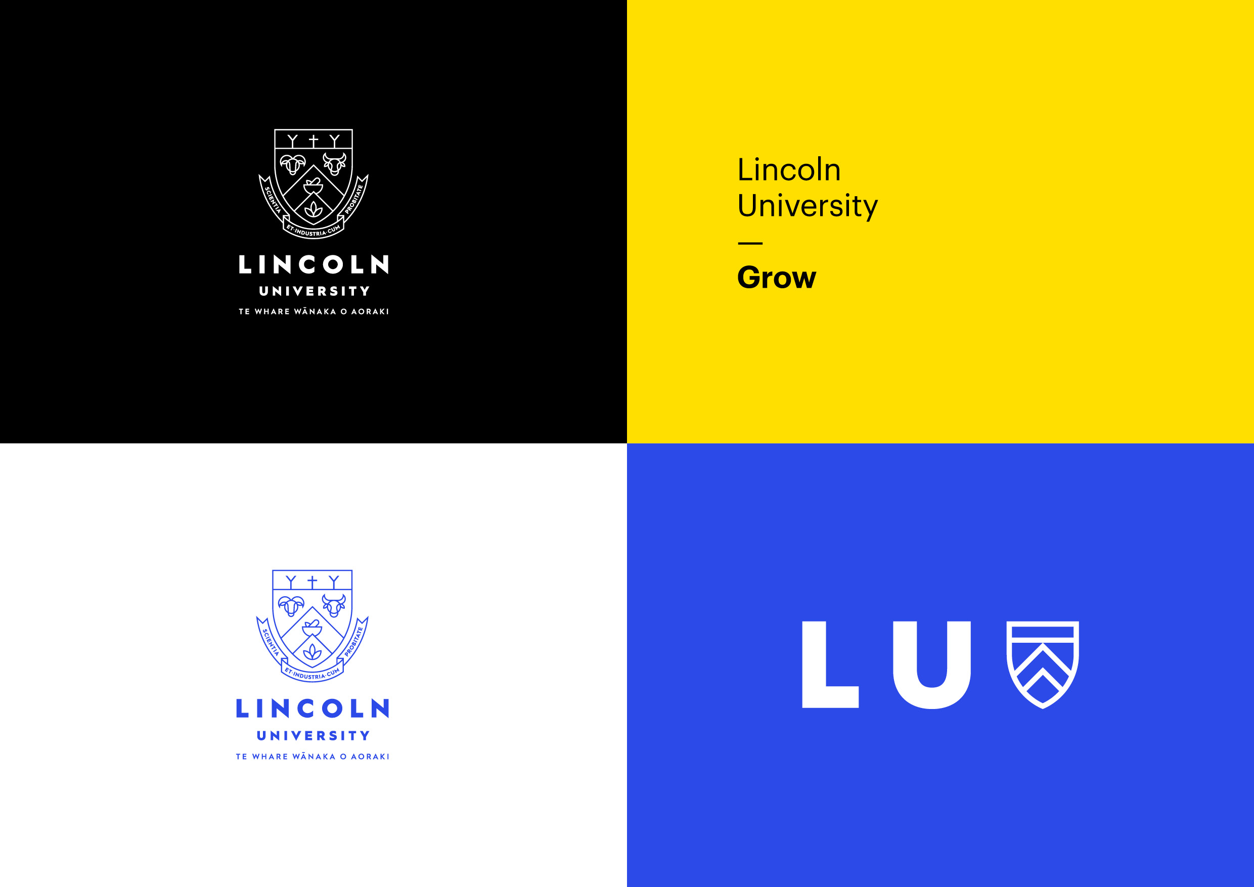 LU case study for Web BH3.jpg