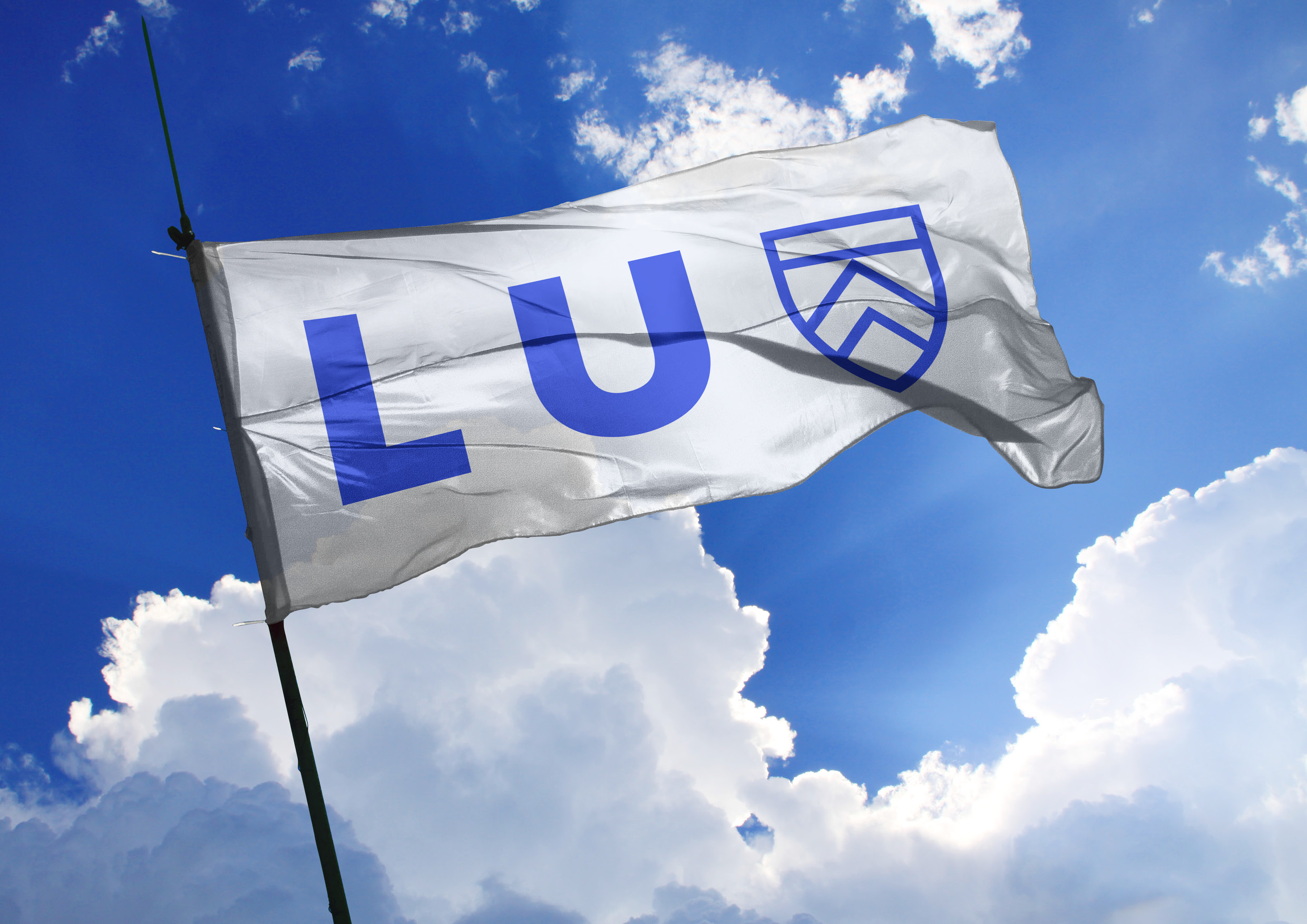 LU case study for Web BH6.jpg