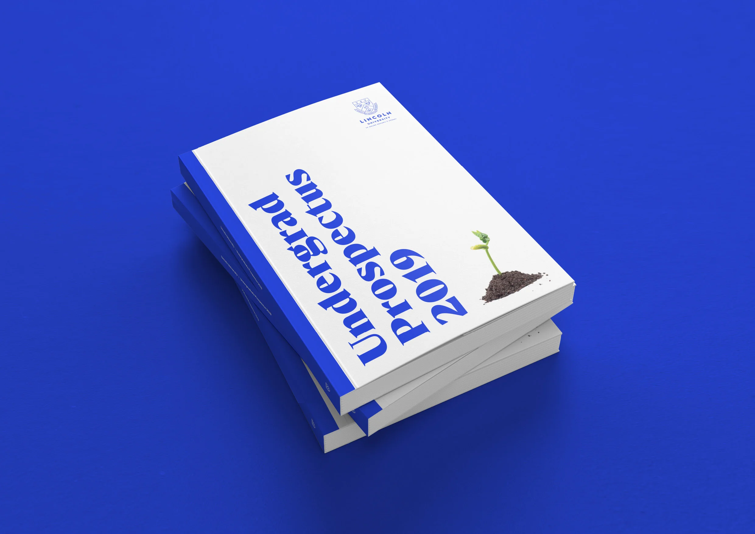 Best Awards LU ENTRY SLIDES v24.jpg