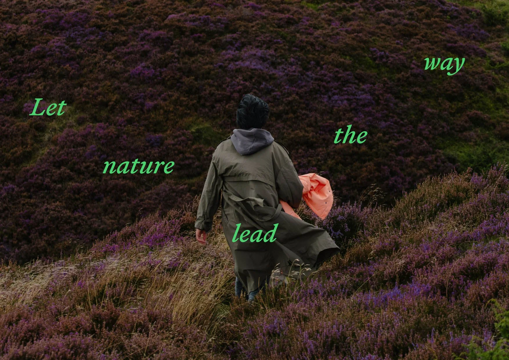 Southern Trails CASE STUDY3.jpg