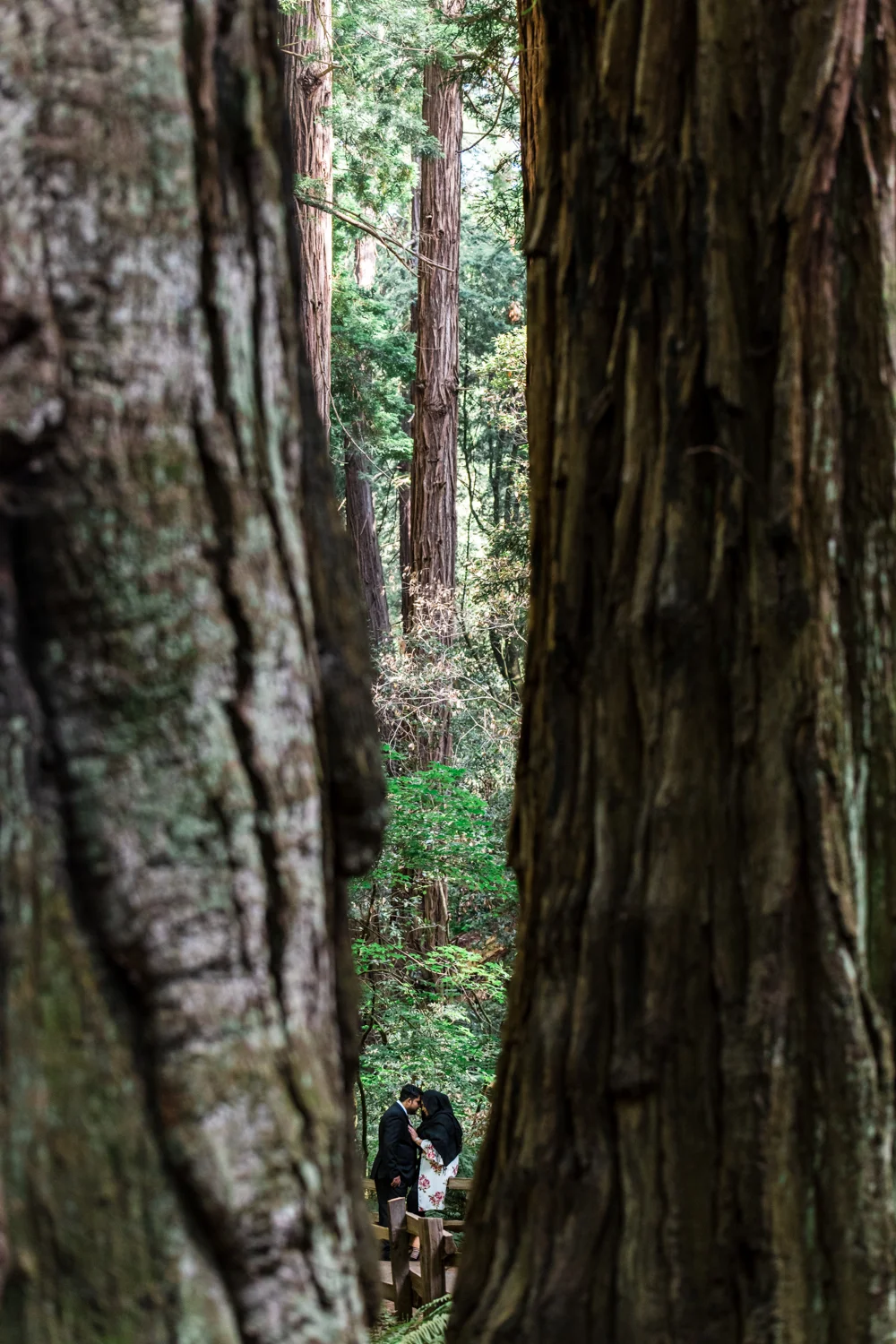 00376-untitled shoot.jpg