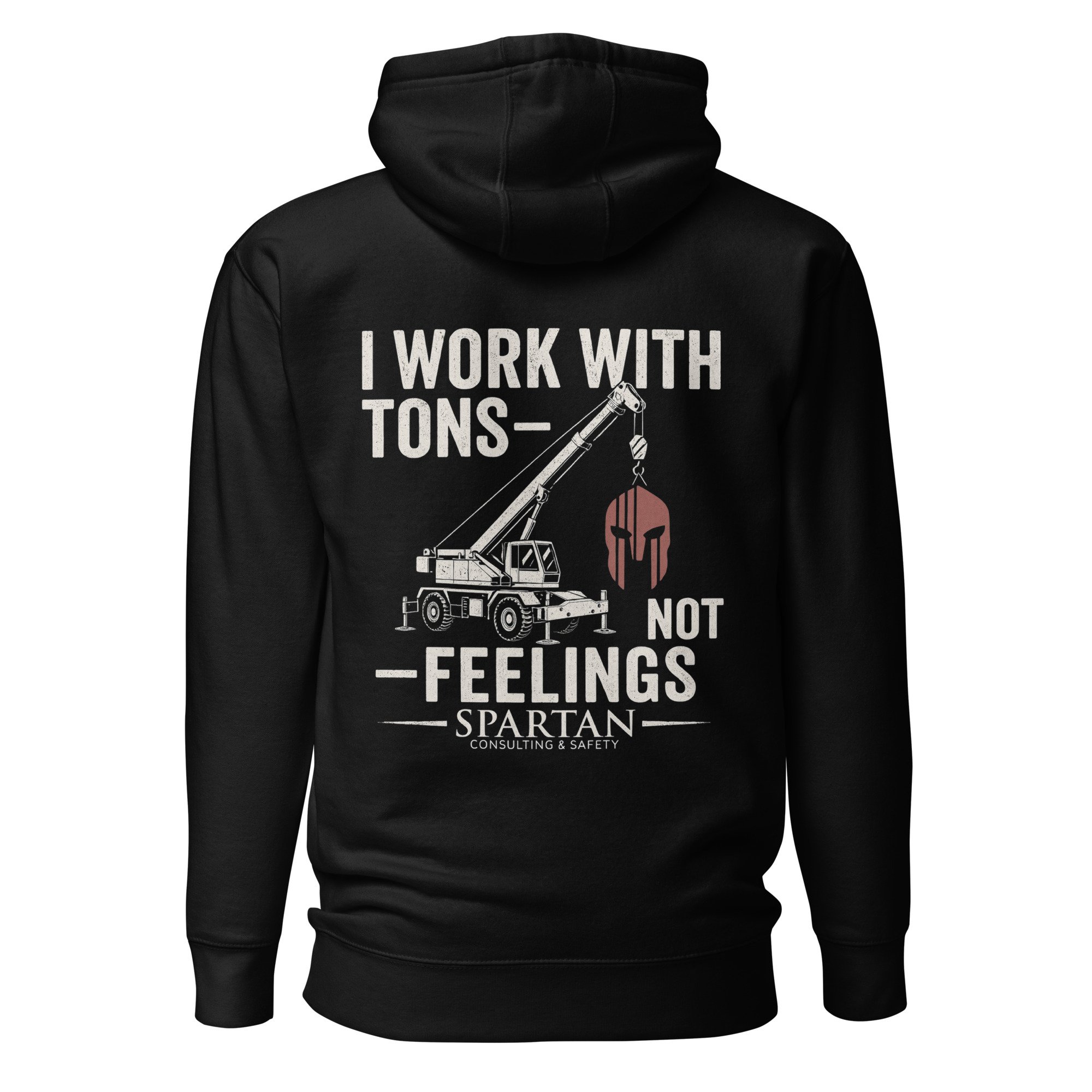 cotton-heritage-m2580-i-unisex-premium-pullover-hoodie-black-back-6926909b17db8.jpg