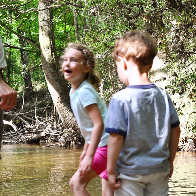 We went wading in the water and we found some fun critters in there! The kids had fun searching for them! See what we found in our latest video! Link in bio! @thetravelvlogfamily #travelvlog #family //#familyfirst #familyadventure #familyadventures #familyadventureday #familytravel #travelwithkids #welltraveled #travelingwithkids #familyvlog #adventure #adventurer #adventurers #adventureclub #adventureanywhere #adventureon #adventurethatislife #adventurelife #adventuretravel #adventureculture #adventureseeker #adventurealways #adventuresession #adventuregram #adventuremore