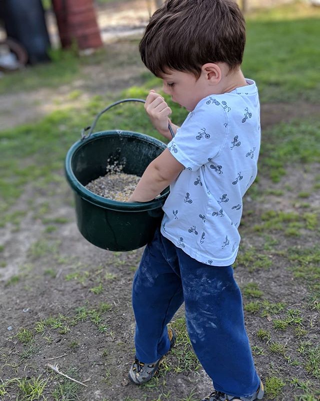 Bak Bak Bak Bak!!! Chickens!! It's feeding time!! ππππππ @thetravelvlogfamily .
.
.
.
.
#travelvlog #family #kidstravel #kidstravellers #kidstraveller #kidstraveler #kidstravel #kidstraveling #kidstraveltoo #kidstravelling #travelkids #kidslovetravel #kidswhotravel #travelwithkids #kidsthattravel #awesometravelkids #travelingkids #welltraveledkids #travellingwithkids #travellingkids #familytravel #familyadventure #familytravelblog #familytravels #familytraveling #familyvlog #familytravelvlog #familyvlogger #familyvloggers