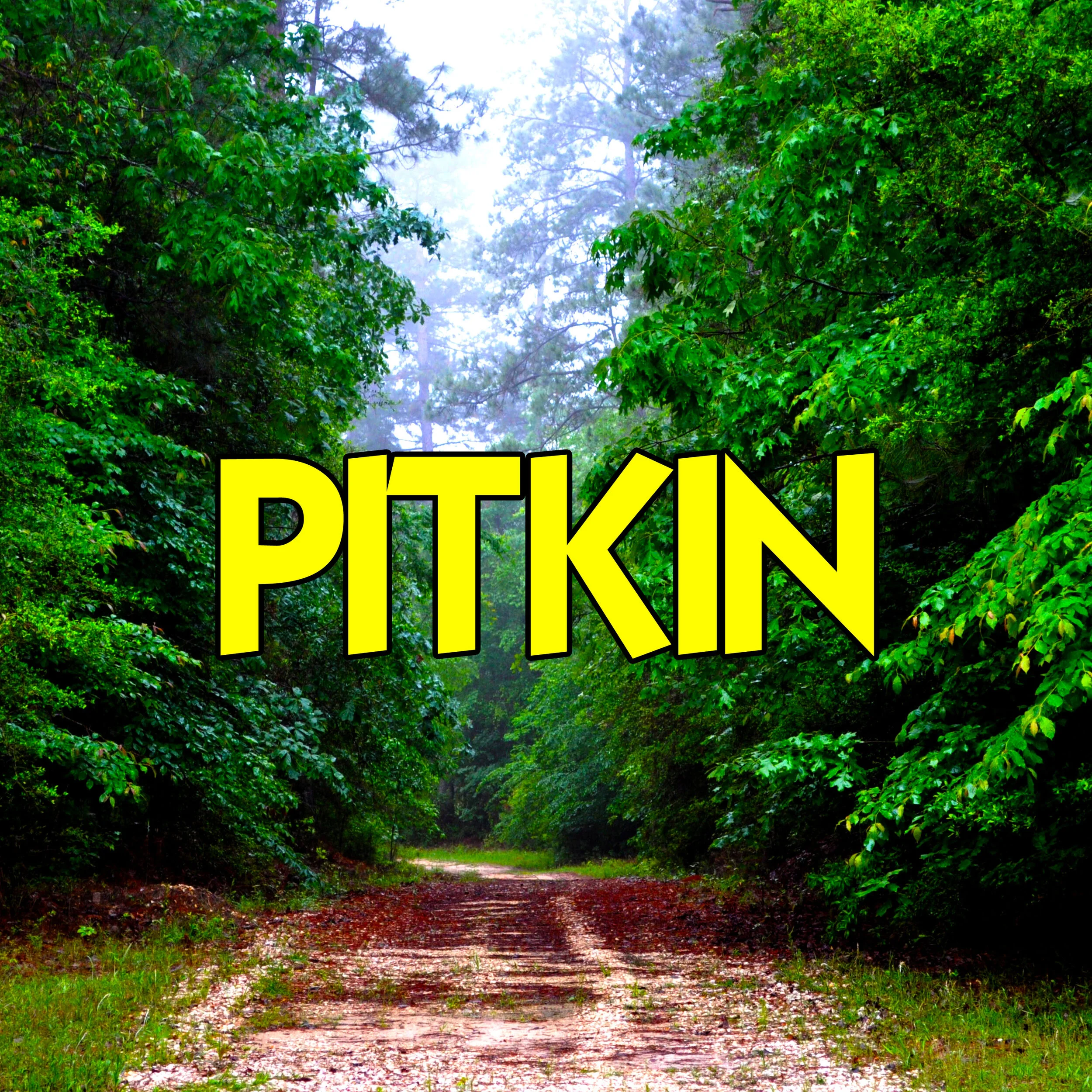 Pitkin // Family Camping in a Cabin in the Woods p 2
