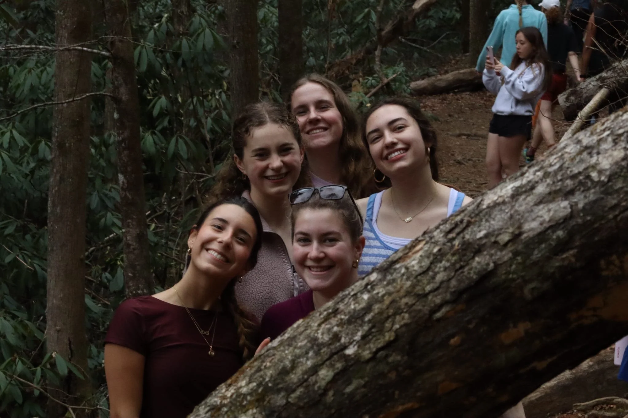 20260307_184238_CE624C 2.JPEG