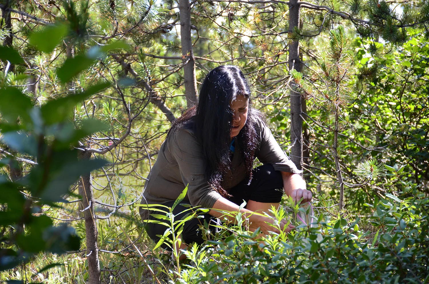 Johns says that when her uncle was diagnosed with lung cancer, the doctors gave him six months to live. Hoping it would ease his pain, she sent him caribou leaves, devil’s club, willow and balsam. "Can’t stop it as far as we found,” says Johns. “But it can help it.” He died two years later.
