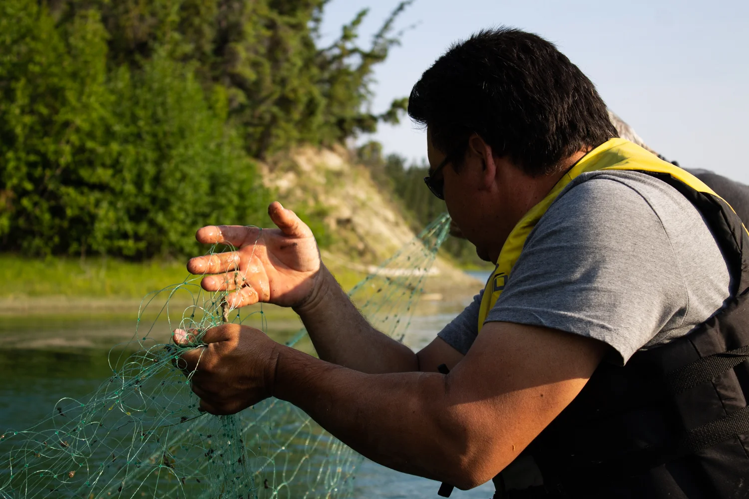 Charles Waugh, Sam’s nephew pulls the family’s 35-foot net from the water. There are no salmon inside, only scattered leaves and twigs. Photo by Reina Cowan