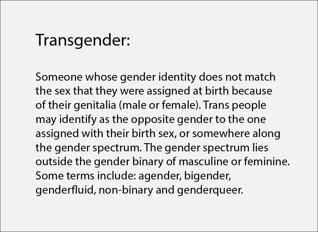 trans-2.png