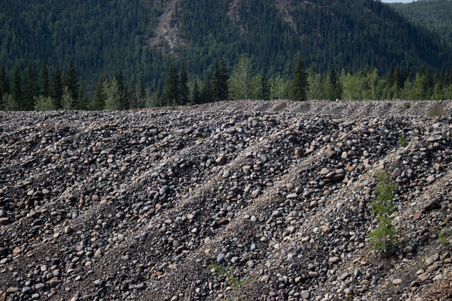 TAILINGS-2-MERCER.jpg
