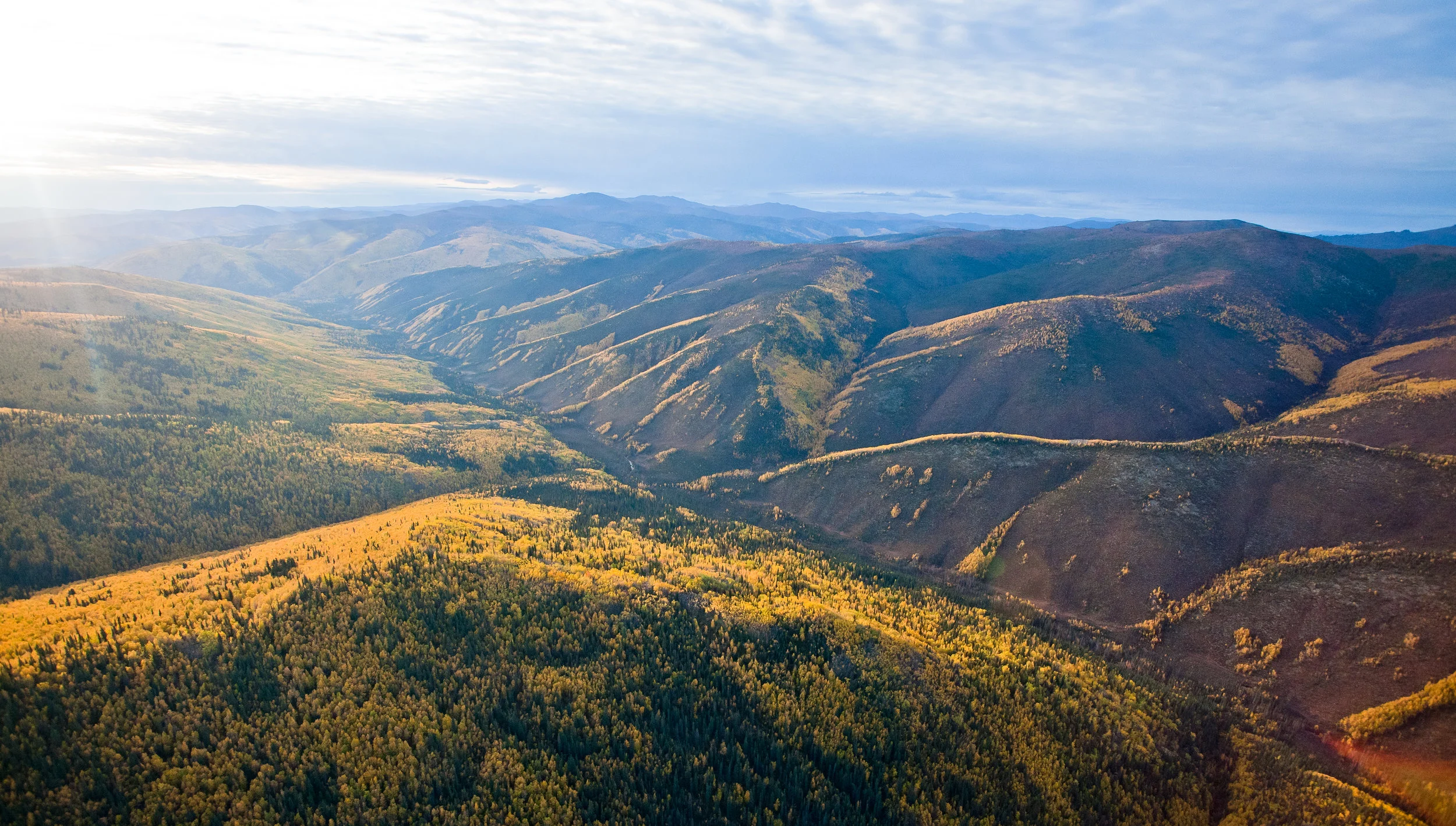 COFFEE SITE-GOLDCORP.jpg