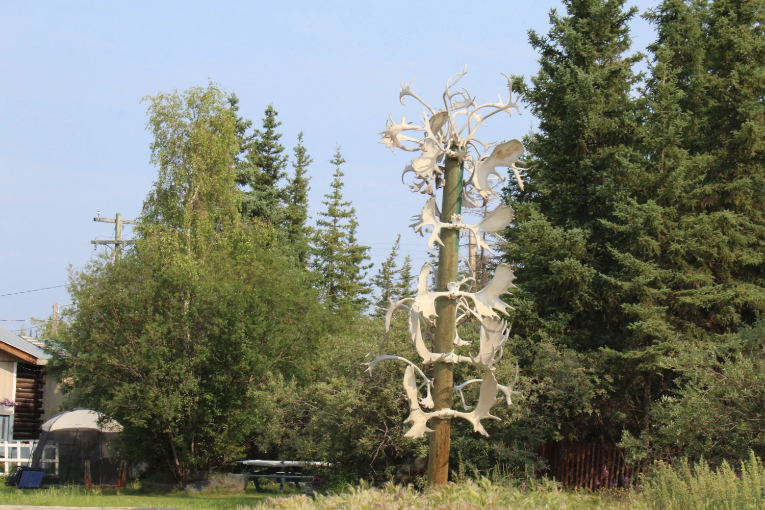 An Old Crow landmark, this antler pole sits outside the home of Stephen Frost, an elder in the community and a renowned hunter. (Photo: Sarah Sibley)