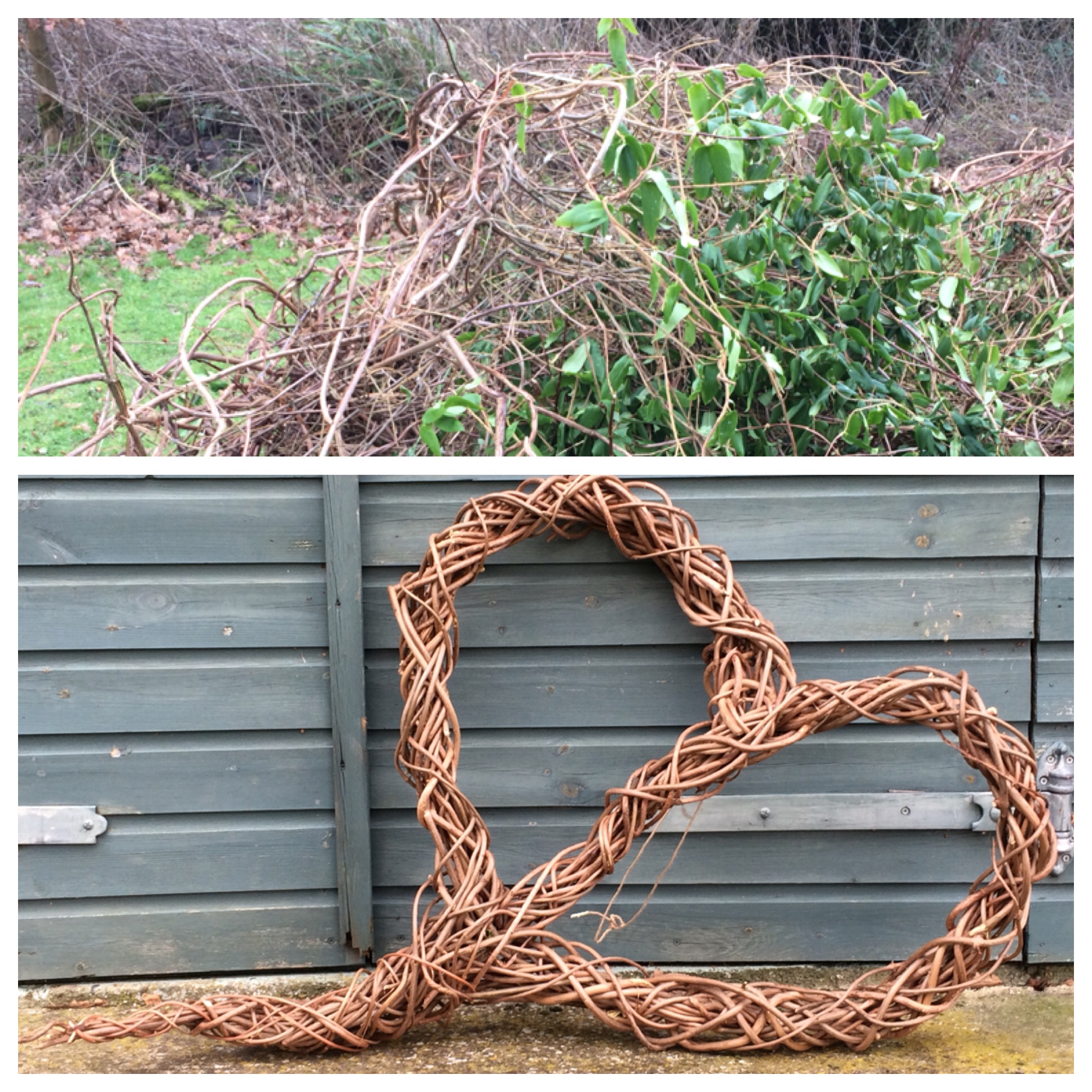 His Garden Rubbish - Her Garden Treasure